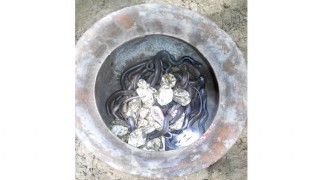 কৃষকের ঘরে ৩২ গোখরা সাপের বাচ্চা ও ডিম